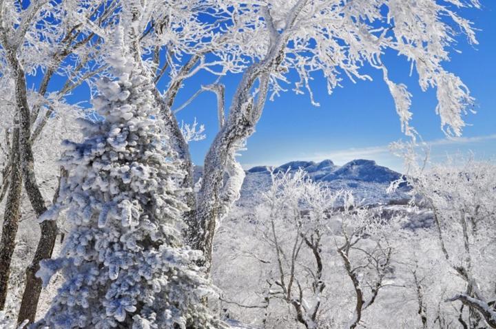 Handsome 2Br Condo With Gorgeous Views In Sugar Mountain! Condo Zewnętrze zdjęcie