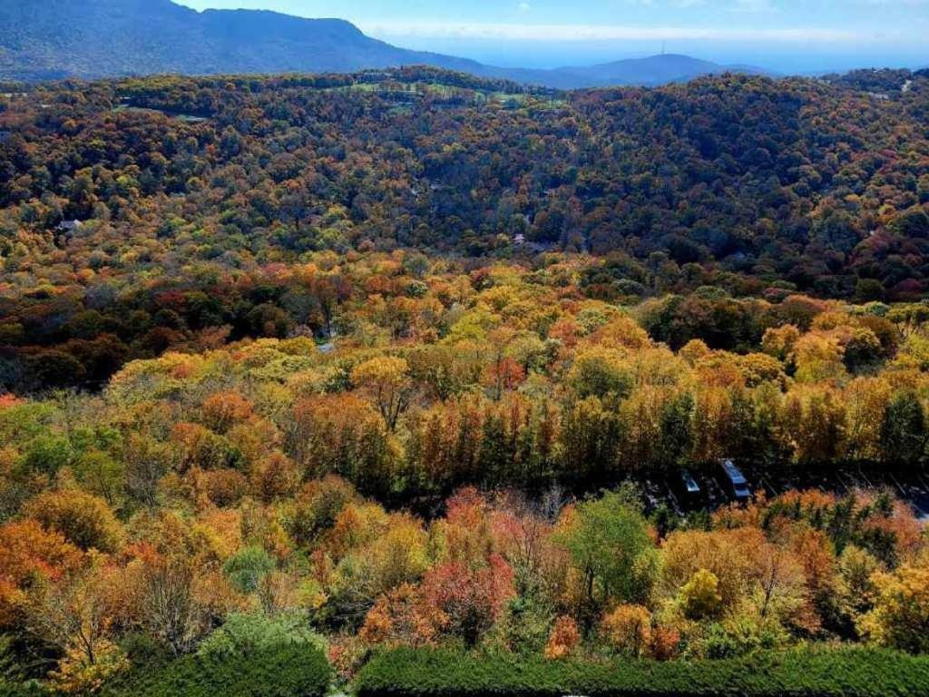 Handsome 2Br Condo With Gorgeous Views In Sugar Mountain! Condo Zewnętrze zdjęcie